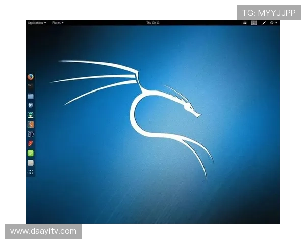 凯时vip安全保障措施全面提升用户账号安全与隐私保护